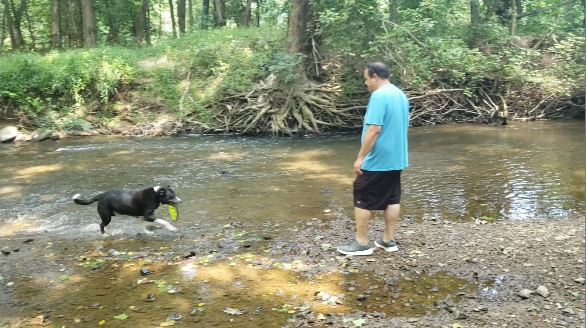 Playing Fetch with Darrick